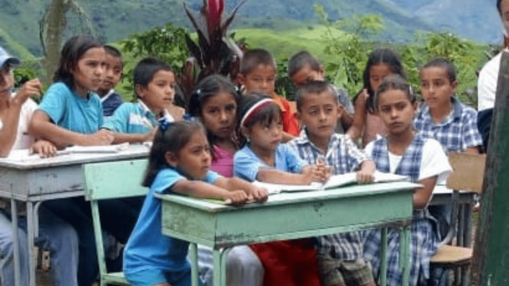 ong ayuda escolar latinoamerica